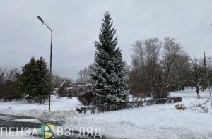 В Пензенской области прогнозируются порывы ветра до 20 метров в секунду