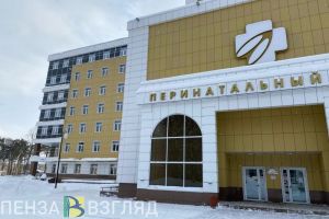 В Пензенской области рассказали, как намерены повысить рождаемость до 2026 года