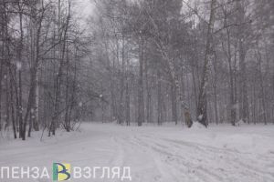 Пензенцам сообщили об ожидании плохой погоды в Центральной России в конце недели