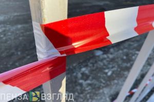 В селе Шемышейского района выявлены очаги африканской чумы свиней