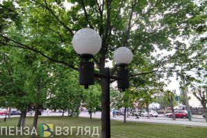 В мэрии Пензы пояснили, почему в микрорайоне Север нельзя построить парк