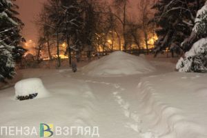 Ветер, снег и ночной мороз ожидаются в Пензенской области 14 декабря