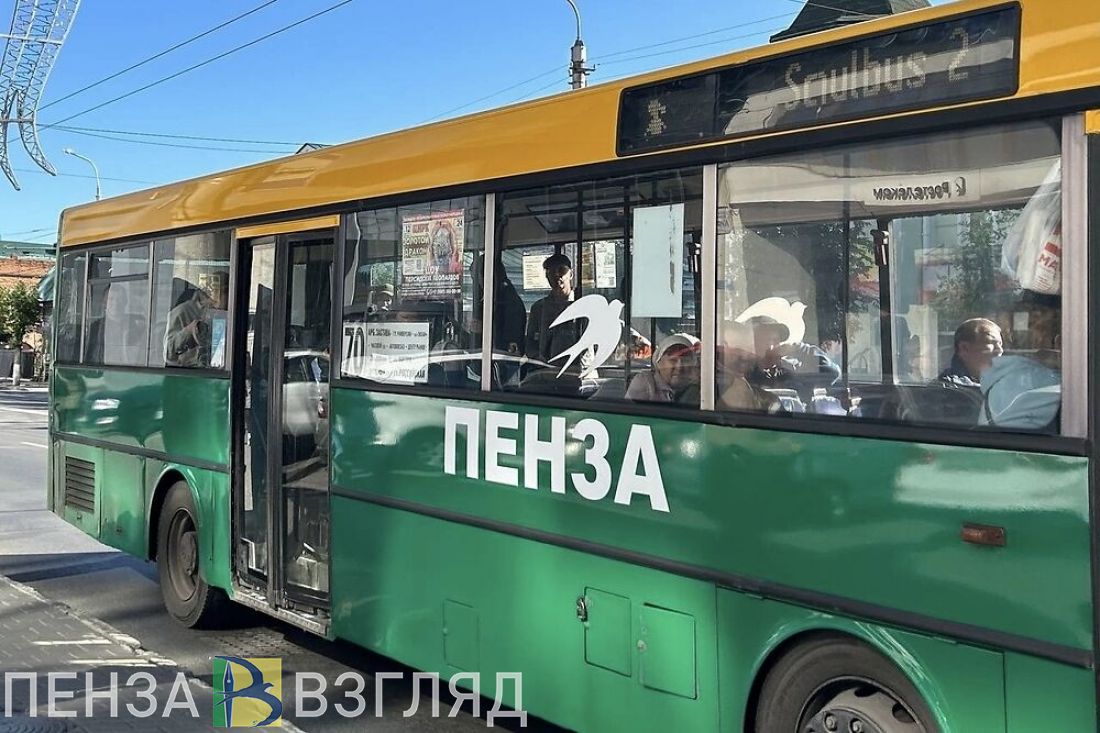 Проект новой маршрутной сети, нападение собак на пенсионера и массовое  отключение света — новости Пензы и области за 13 декабря