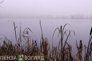 Пензенцев просят помочь в поисках пропавшей пенсионерки