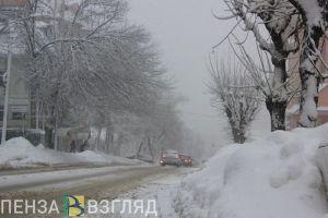 Жителей Пензенской области предупредили о сильном ветре и метели 15 декабря