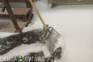 В Пензе ряду предприятий торговли указали на неубранный на их территории снег