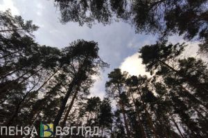 Пензенцам советуют готовиться к крупнейшей за последние годы вспышке на Солнце