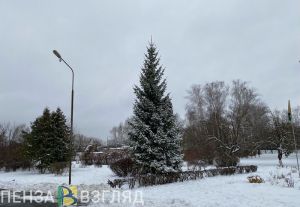 Стало известно, какую погоду на выходных пензенцам принесет циклонический вихрь