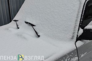 Жителей Пензенской области предупреждают об очень сильном снеге в субботу