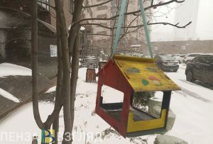 Пензенцы могут стать «Хранителями птиц»
