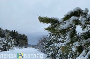 17 декабря в Пензенской области ожидается -14 градусов и сильный ветер