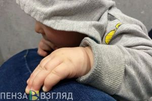 Стало известно, на что пензенские семьи потратили 288 млн рублей маткапитала