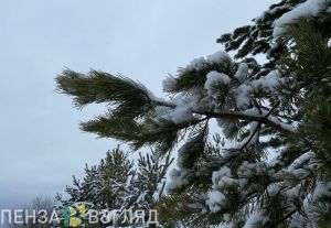 На рабочей неделе в Пензенской области сохранится влияние циклона с Атлантики