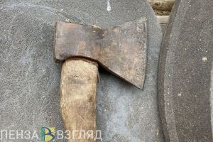 Житель Пензенской области угрожал зарубить родственницу топором