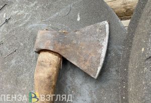 Земетчинец ударил бывшую жену топором по шее