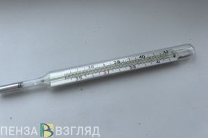 Пензенцам напомнили, на каких условиях берется больничный по уходу за ребенком