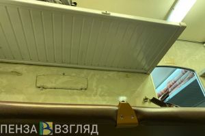 12-летняя девочка скончалась в поезде, проезжавшем Пензенскую область