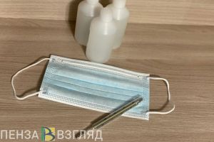 Марина Воробьева объяснила необходимость досрочных каникул в Пензенской области