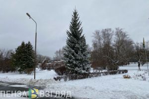 22 декабря температура в Пензенской области поднимется до +4 градусов
