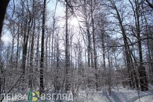 Пензенцам прогнозируют ухудшение погодных условий 23 декабря