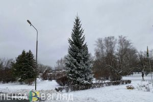23 декабря в Пензенской области будет 4 градуса тепла и сильный ветер