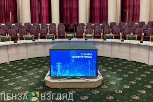 В пензенском правительстве наградили энергетиков