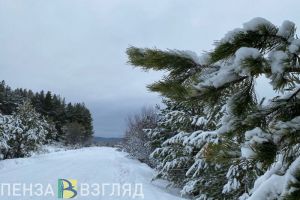 Пензенцы узнали о погоде в Центральной России в последнюю неделю 2023 года