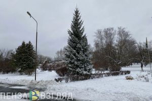 С улиц Пензы вывезли уже 113 тысяч кубометров снега