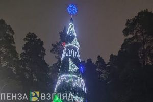 Жителям Пензы и области рассказали о прогнозе погоды на новогоднюю ночь