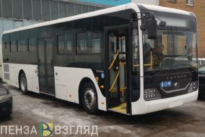 Мельниченко прокомментировал транспортную реформу в Пензе