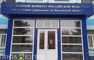 Нижнеломовский межрайонный следственный отдел возглавила Александра Макарова