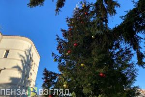 «Убогие» елки в Пензенской области заменят на нормальные