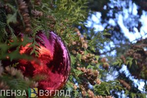Пензенские врачи рекомендуют не водить детей на массовые праздники