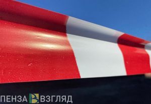 В Мокшане Пензенской области отменили карантин по африканской чуме свиней