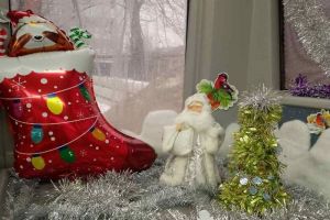 Пензенский водитель троллейбуса дарит пассажирам новогоднее настроение