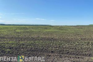 Пензенская область заняла 1 место в стране по цифровизации сельского хозяйства