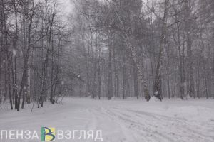 28 декабря в Пензенской области прогнозируют +2 градуса и снег