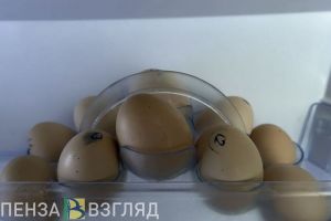 В пензенском УФАС рассказали о сроке действия соглашений о сдерживании цен на яйца