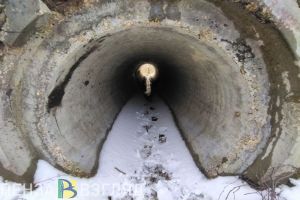 Пропавшая жительница Петровска может находиться в Пензенской области