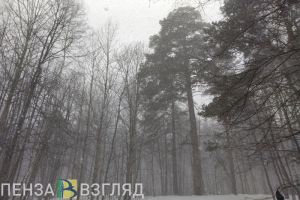 29 декабря в Пензенской области ожидается снег