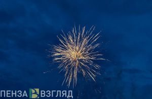 Пензенцы не смогут попасть на Красную площадь в новогоднюю ночь