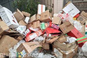 В Пензе назвали подрядчика, отвечающего за уборку контейнеров с мусором в 2 районах