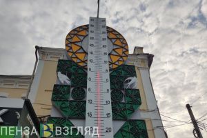 От морозца к оттепели: прогноз погоды для Пензенской области на 30 декабря