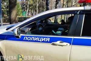 Средства для ухода за волосами могут стоить пензячке двух лет свободы
