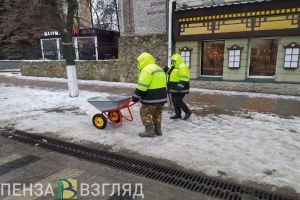 За четыре дня 165 жителей Пензы получили травмы на улице