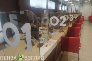 Более 1,5 миллиона услуг за год оказано в МФЦ жителям Пензенской области