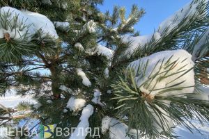 В Пензенской области местами может похолодать до -23 градусов