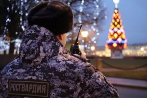 Пензенские росгвардейцы обеспечивали безопасность граждан в новогоднюю ночь