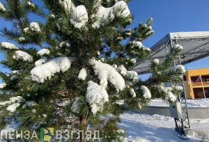 2 января в Пензенской области прогнозируется ухудшение погодных условий