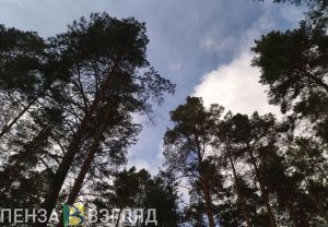 В Пензенской области температура опустится ниже климатической нормы на 4-6 градусов